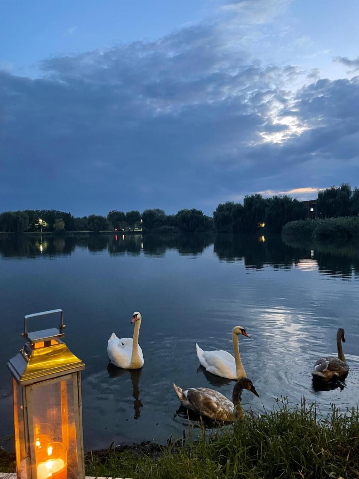 Therme - Corbeanca By The Lake Luxury Villa المظهر الخارجي الصورة